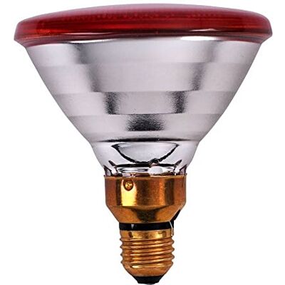 Kerbl Philips Economy Infrared Lamp 175 W Red Kerbl Philips Economy Infrared Lamp 175 W Red