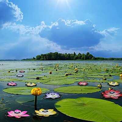 Jelquix Solar Powered Floating Light, 7 Color Changing LED Pond Lights, Design Rotating Feature Light with Design, Ideal for Garden Pool (Yellow) Jelquix Solar Powered Floating Light, 7 Color Changing LED Pond Lights, Design Rotating Feature Light with Design, Ideal for Garden Pool (Yellow)