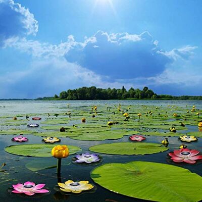 Jelquix Solar Powered Floating Light, 7 Color Changing LED Pond Lights, Design Rotating Feature Light with Design, Ideal for Garden Pool (Pink) Jelquix Solar Powered Floating Light, 7 Color Changing LED Pond Lights, Design Rotating Feature Light with Design, Ideal for Garden Pool (Pink)