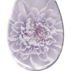 Kleine Wolke 1866851075 Dahlia Toilet seat, Lavender, 37x 45 cm Kleine Wolke 1866851075 Dahlia Toilet seat, Lavender, 37x 45 cm