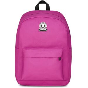 Invicta Ollie Solid Monoscompartment, Fuchsia, Bottle Pocket, 14" PC Pocket, School Backpack, Girl and Boy, Fuchsia, Taglia unica, modern Invicta Ollie Solid Monoscompartment, Fuchsia, Bottle Pocket, 14" PC Pocket, School Backpack, Girl and Boy, Fuchsia, Taglia unica, modern