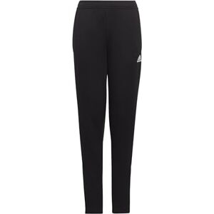 adidas Unisex Kids Entrada 22 Training Pants, Black, 11-12 Years adidas Unisex Kids Entrada 22 Training Pants, Black, 11-12 Years