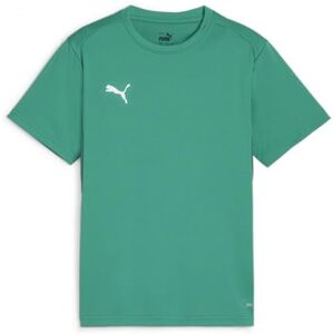 Puma Unisex Teamgoal Jersey Jr Tee, Sport Green- White-Power Green, 11-12 Y Puma Unisex Teamgoal Jersey Jr Tee, Sport Green- White-Power Green, 11-12 Y