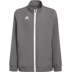 adidas Unisex Kids Entrada 22 Presentation Jacket, team grey four, 11-12 Years adidas Unisex Kids Entrada 22 Presentation Jacket, team grey four, 11-12 Years