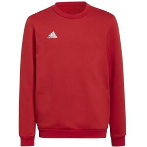 adidas Unisex Kids Entrada 22 Sweat Top, Team Power Red 2, 5-6 Years adidas Unisex Kids Entrada 22 Sweat Top, Team Power Red 2, 5-6 Years