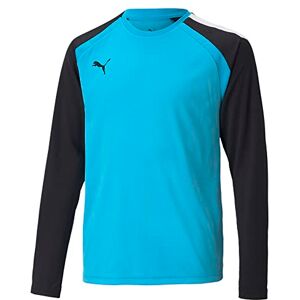 Puma Teampacer Gk Ls Jersey Jr Puma Teampacer Gk Ls Jersey Jr