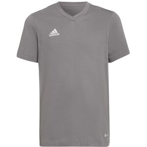 adidas Unisex Kids Entrada 22 Tee, Team Grey Four, 5-6 Years adidas Unisex Kids Entrada 22 Tee, Team Grey Four, 5-6 Years