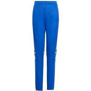 adidas Unisex Kids SQUADRA25 Training Pant Kids, Team Royal Blue/Team Yellow, 11-12 Years adidas Unisex Kids SQUADRA25 Training Pant Kids, Team Royal Blue/Team Yellow, 11-12 Years