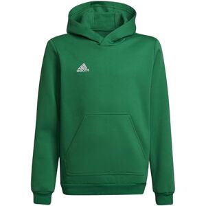 adidas Unisex Kids Entrada 22 Sweat Hoodie, team green/white, 5-6 Years adidas Unisex Kids Entrada 22 Sweat Hoodie, team green/white, 5-6 Years