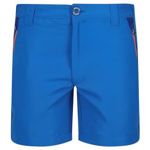 Regatta Kids' Sorcer Mountain Short III Blue Regatta Kids' Sorcer Mountain Short III Blue
