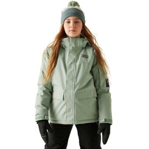 Dare2b Unisex Kids Shredder Ski Jacket, Glacier Green, 7-8 Years EU Dare2b Unisex Kids Shredder Ski Jacket, Glacier Green, 7-8 Years EU