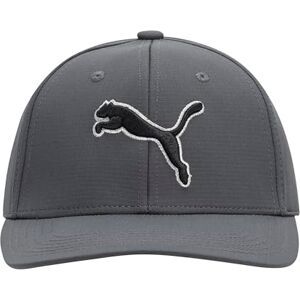 Puma Unisex's Evercat Dillon Stretch Fit Cap Baseball, Dark Gray, S-M Puma Unisex's Evercat Dillon Stretch Fit Cap Baseball, Dark Gray, S-M