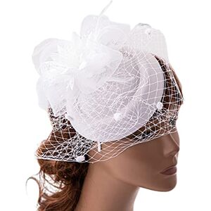 LIGSLN Fascinator Headband for Women Pillbox Hat Cocktail Tea Party Hat Fascinator Hair Band Feather Fascinator Veil Mesh Hair Styling LIGSLN Fascinator Headband for Women Pillbox Hat Cocktail Tea Party Hat Fascinator Hair Band Feather Fascinator Veil Mesh Hair Styling