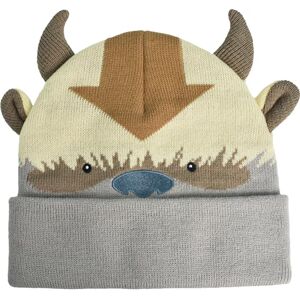 Concept One Unisex's Avatar The Last Airbender Appa Acrylic Knitted Winter with Cuff Beanie Hat, Multi, One Size Concept One Unisex's Avatar The Last Airbender Appa Acrylic Knitted Winter with Cuff Beanie Hat, Multi, One Size