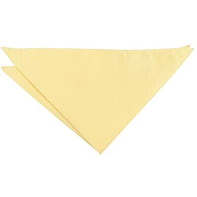 DQT Mens Plain Twill Pocket Square Wedding, Business & Formal Suit Handkerchief Daffodil Yellow DQT Mens Plain Twill Pocket Square Wedding, Business & Formal Suit Handkerchief Daffodil Yellow