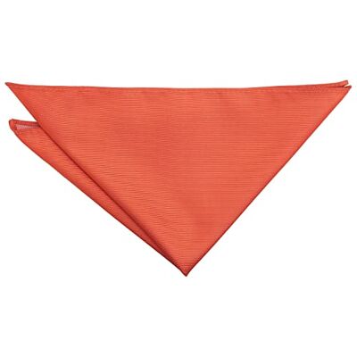 DQT Mens Plain Twill Pocket Square Wedding, Business & Formal Suit Handkerchief Terracotta Orange DQT Mens Plain Twill Pocket Square Wedding, Business & Formal Suit Handkerchief Terracotta Orange