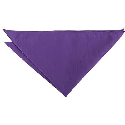 DQT Mens Plain Twill Pocket Square Wedding, Business & Formal Suit Handkerchief Purple DQT Mens Plain Twill Pocket Square Wedding, Business & Formal Suit Handkerchief Purple