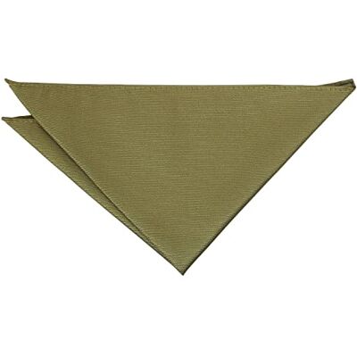 DQT Mens Plain Twill Pocket Square Wedding, Business & Formal Suit Handkerchief Olive Green DQT Mens Plain Twill Pocket Square Wedding, Business & Formal Suit Handkerchief Olive Green