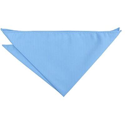 DQT Mens Plain Twill Pocket Square Wedding, Business & Formal Suit Handkerchief Sky Blue DQT Mens Plain Twill Pocket Square Wedding, Business & Formal Suit Handkerchief Sky Blue