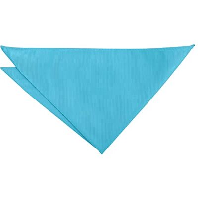 DQT Mens Plain Twill Pocket Square Wedding, Business & Formal Suit Handkerchief Aqua Blue DQT Mens Plain Twill Pocket Square Wedding, Business & Formal Suit Handkerchief Aqua Blue