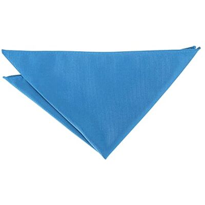 DQT Mens Plain Twill Pocket Square Wedding, Business & Formal Suit Handkerchief Turquoise Blue DQT Mens Plain Twill Pocket Square Wedding, Business & Formal Suit Handkerchief Turquoise Blue