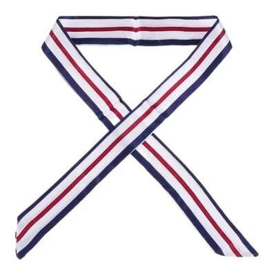 EnxJire Silk Hair Ribbon Satin Print Small Scarf Headband Women Handle Bags Narrow Long Wristband Waistband Ribbon Fashion Accessories(S44) EnxJire Silk Hair Ribbon Satin Print Small Scarf Headband Women Handle Bags Narrow Long Wristband Waistband Ribbon Fashion Accessories(S44)