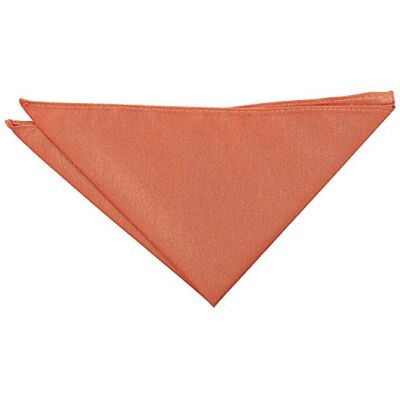 DQT Mens Plain Shantung Pocket Square Wedding, Business & Formal Suit Handkerchief DQT Mens Plain Shantung Pocket Square Wedding, Business & Formal Suit Handkerchief