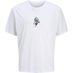 JACK & JONES Men's Jjmiko Tee SS Crew Neck Pls, White, 6XL JACK & JONES Men's Jjmiko Tee SS Crew Neck Pls, White, 6XL