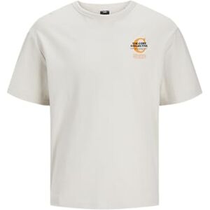 JACK & JONES Men's Jcoholger Tee SS Crew Neck T-Shirt, Moonbeam, S JACK & JONES Men's Jcoholger Tee SS Crew Neck T-Shirt, Moonbeam, S