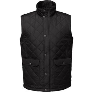 Regatta Men's Tyler Insulated Waterproof Bodywarmer Plain Turtleneck Sleeveless Outdoor Gilet Perfect for Walking, Hiking & Camping Regatta Men's Tyler Insulated Waterproof Bodywarmer Plain Turtleneck Sleeveless Outdoor Gilet Perfect for Walking, Hiking & Camping