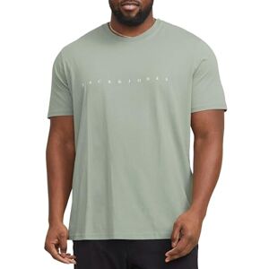 JACK & JONES JACK&JONES PLUS Men's Jjestar Jj Tee Ss Noos Pls T-Shirt, Iceberg Green, 4XL JACK & JONES JACK&JONES PLUS Men's Jjestar Jj Tee Ss Noos Pls T-Shirt, Iceberg Green, 4XL
