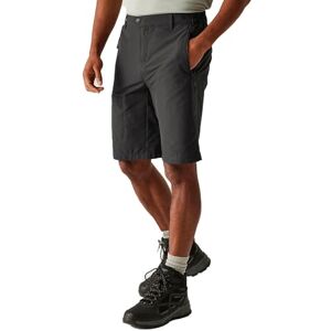 Regatta Mens Highton Long Shorts, Water Repellent & Multi Pocketed Outdoor Active Walking Shorts Perfect for Hiking & Camping Grey Regatta Mens Highton Long Shorts, Water Repellent & Multi Pocketed Outdoor Active Walking Shorts Perfect for Hiking & Camping Grey