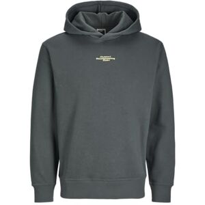 JACK & JONES Men's Jcoalpha Mountain Print Sweat Hood Sweatshirt, Urban Chic, L JACK & JONES Men's Jcoalpha Mountain Print Sweat Hood Sweatshirt, Urban Chic, L