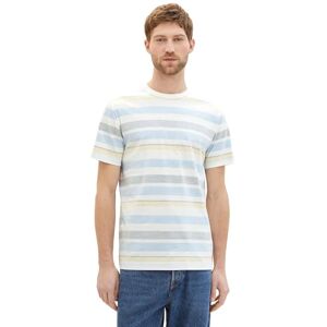 TOM TAILOR Men's T-Shirt, 35656 Blue Multicolour Big Stripe, L TOM TAILOR Men's T-Shirt, 35656 Blue Multicolour Big Stripe, L