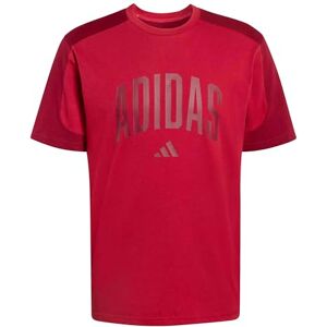 adidas Men's Collegiate T-Shirt, Active Maroon/Collegiate Burgundy, 3XL Plus Extra Tall adidas Men's Collegiate T-Shirt, Active Maroon/Collegiate Burgundy, 3XL Plus Extra Tall