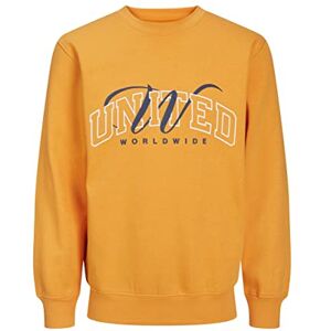 JACK & JONES Men's Jorbrink Studio Sweat Crew Neck Sweatshirt, Iceland Poppy, M JACK & JONES Men's Jorbrink Studio Sweat Crew Neck Sweatshirt, Iceland Poppy, M