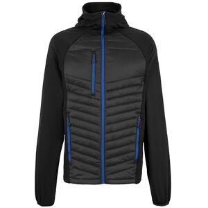 Regatta Professional Men's Navigate Hybrid Lightweight Jacket, Insulated & Stretchable Perfect for Outdoors, Walking, Hiking & Camping Regatta Professional Men's Navigate Hybrid Lightweight Jacket, Insulated & Stretchable Perfect for Outdoors, Walking, Hiking & Camping