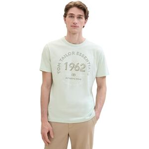 TOM TAILOR Men's 1040819 T-Shirt, 35599-Sea Green Fine Stripe, XXL TOM TAILOR Men's 1040819 T-Shirt, 35599-Sea Green Fine Stripe, XXL