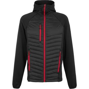 Regatta Professional Men's Navigate Hybrid Lightweight Jacket, Insulated & Stretchable Perfect for Outdoors, Walking, Hiking & Camping Regatta Professional Men's Navigate Hybrid Lightweight Jacket, Insulated & Stretchable Perfect for Outdoors, Walking, Hiking & Camping