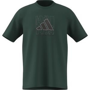 adidas Men's Box Logo Graphic T-Shirt, Collegiate Green, M Tall adidas Men's Box Logo Graphic T-Shirt, Collegiate Green, M Tall