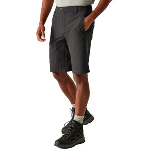Regatta Mens Highton Long Shorts, Water Repellent & Multi Pocketed Outdoor Active Walking Shorts Perfect for Hiking & Camping Grey Regatta Mens Highton Long Shorts, Water Repellent & Multi Pocketed Outdoor Active Walking Shorts Perfect for Hiking & Camping Grey