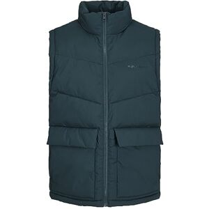 JACK & JONES Mens Puffer Gilet Full Zip Stand up Bodywarmer Quilted Collar Sleeveless Jackets for Men, Green Colour, Size- L JACK & JONES Mens Puffer Gilet Full Zip Stand up Bodywarmer Quilted Collar Sleeveless Jackets for Men, Green Colour, Size- L