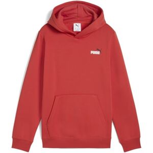 Puma ESS 2 COLOR Small No. 1 Logo Hoodie FL B Puma ESS 2 COLOR Small No. 1 Logo Hoodie FL B