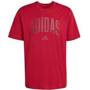 adidas Men's Collegiate Lineage Graphic T-Shirt, Active Maroon, L Tall adidas Men's Collegiate Lineage Graphic T-Shirt, Active Maroon, L Tall
