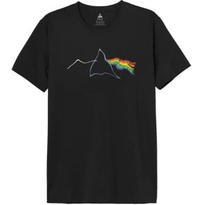 cotton division Men's MEPIFLRTS021 t Shirt, Black, 3XL cotton division Men's MEPIFLRTS021 t Shirt, Black, 3XL