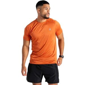 Dare2b Mens Accelerate Tee T-Shirts/Polos/Vests Dare2b Mens Accelerate Tee T-Shirts/Polos/Vests