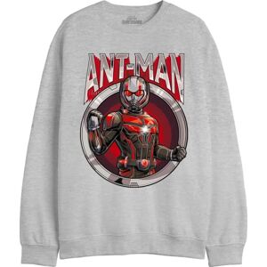 Marvel Men's Meantmmsw012 Sweatshirt, Melange Grey, M Marvel Men's Meantmmsw012 Sweatshirt, Melange Grey, M