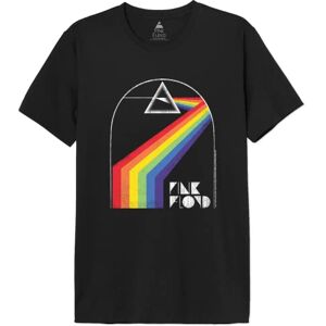 cotton division Men's MEPIFLRTS029 t Shirt, Black, L cotton division Men's MEPIFLRTS029 t Shirt, Black, L