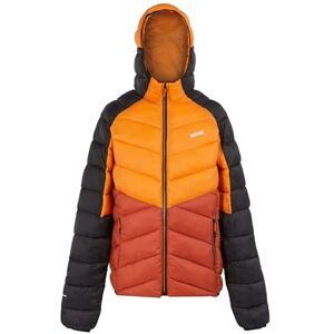Regatta Mens Dalent Lightweight Hooded Padded Jacket, Insulated & Water Repellent Perfect for Outdoors, Walking, Hiking & Camping Regatta Mens Dalent Lightweight Hooded Padded Jacket, Insulated & Water Repellent Perfect for Outdoors, Walking, Hiking & Camping
