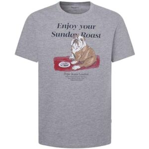 Pepe Jeans Men's Axel Tee, T-Shirt, Grey, M Pepe Jeans Men's Axel Tee, T-Shirt, Grey, M